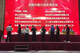 甘肃景泰金龙化工建材有限公司荣获2016-2017年度全国石膏行业优秀企业