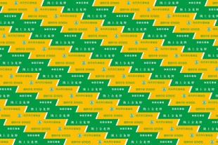 陇上金龙